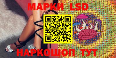 apvp Беслан
