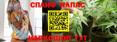 стаф Бийск