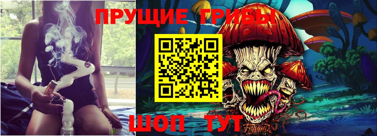 Псилоцибиновые грибы ЛСД Зеленодольск